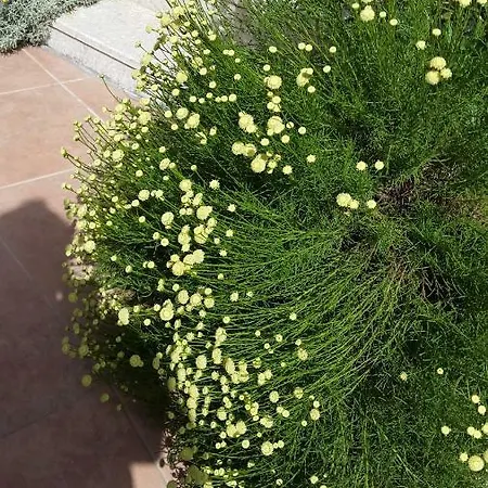 Sirman 3* Sarıgerme