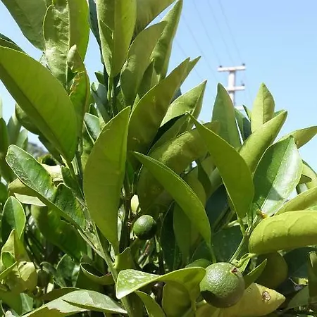 Nocleg ze śniadaniem Sirman 3*