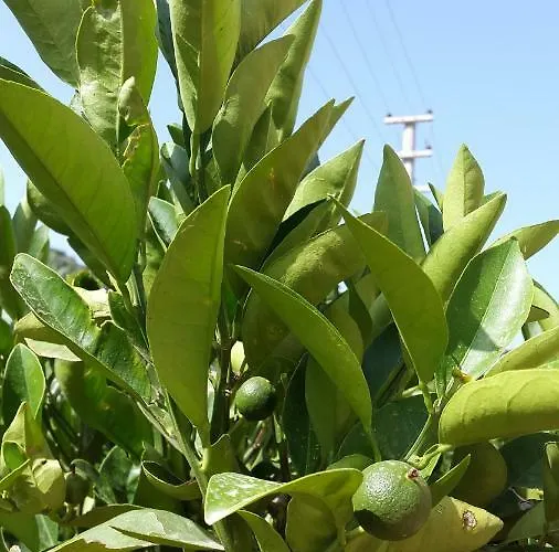 Bed & Breakfast Sirman 3*